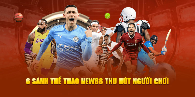 6 sảnh thể thao new88