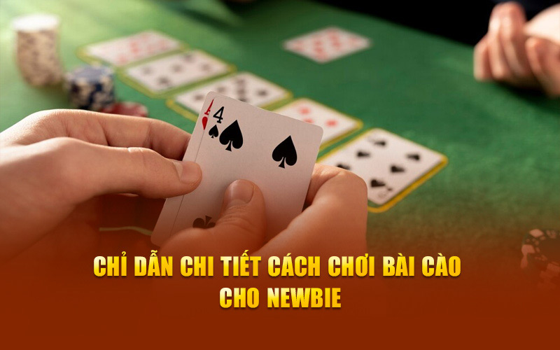 Chỉ dẫn chi tiết cách chơi bài cào cho newbie